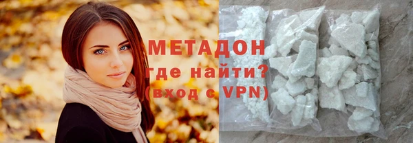 прущие грибы Наволоки