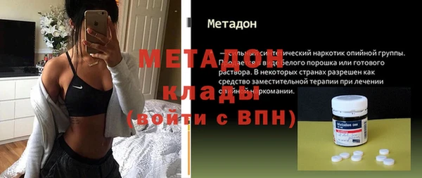 прущие грибы Наволоки