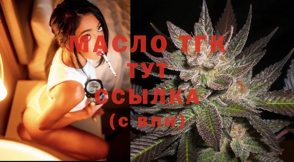 прущие грибы Наволоки