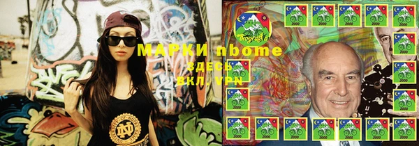 прущие грибы Наволоки