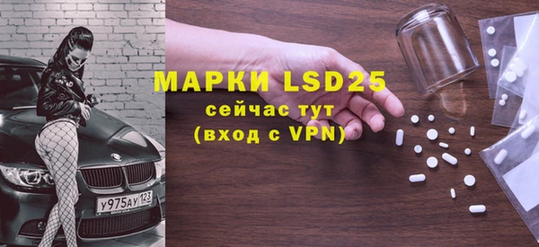 прущие грибы Наволоки