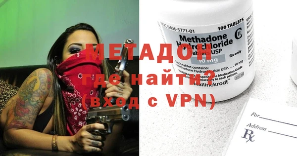 прущие грибы Наволоки