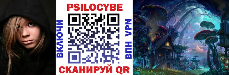 где можно купить Сокол Псилоцибиновые грибы Psilocybe